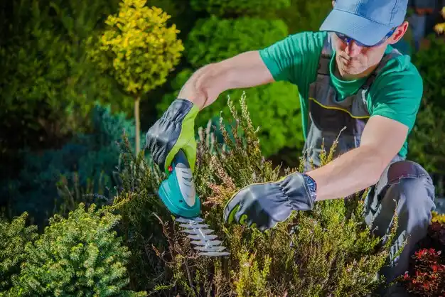 landscaping services Elsie